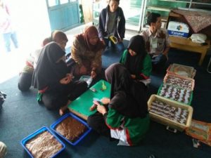 p4S mEKAR sARI