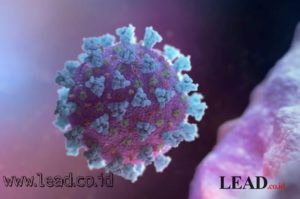 Coronavirus Corona, Mudik