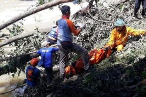 GRG, Hanyut GRG, Hanyut, Ciliwung, Kebun Raya