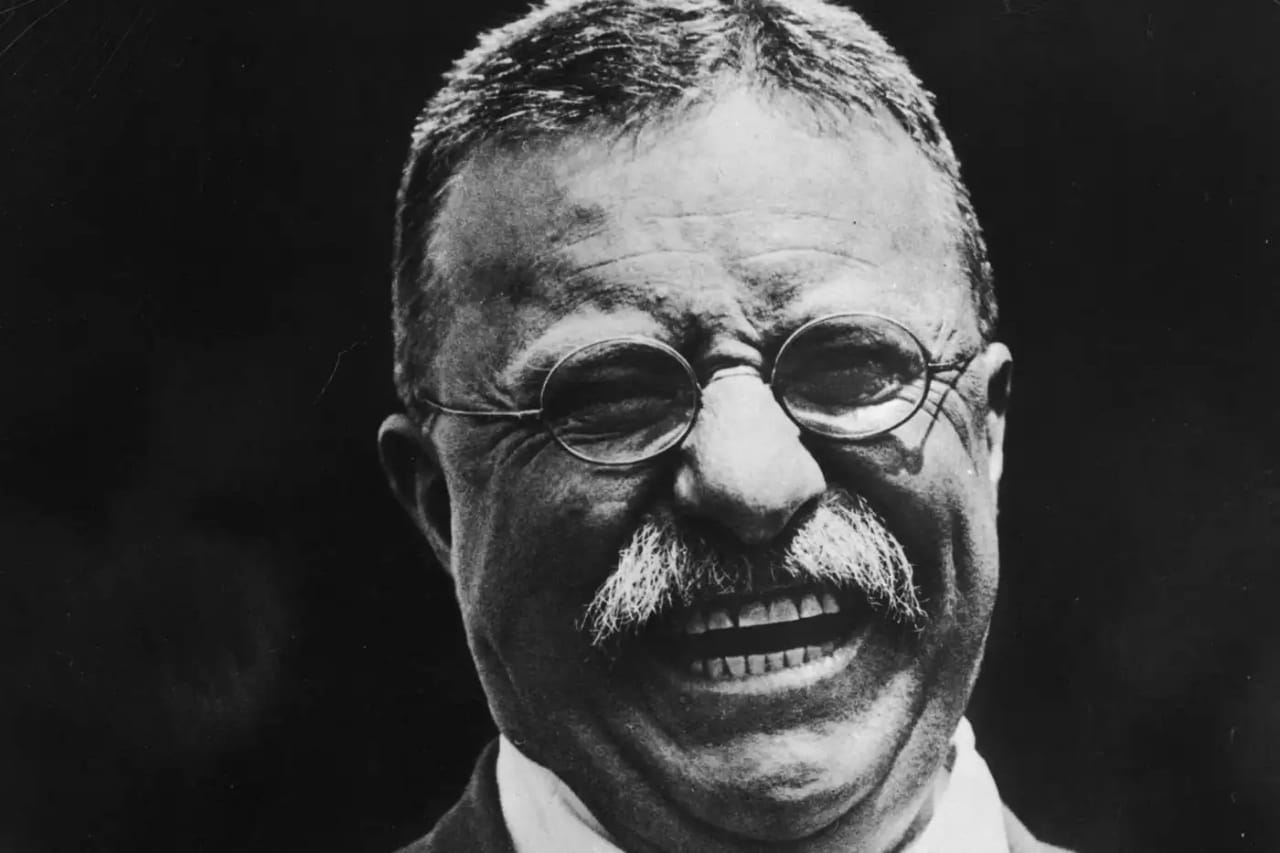 President, Theodore Roosevelt