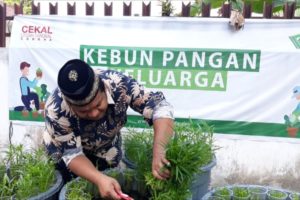 DD Waspada DD Waspada, Ketahanan, Pangan, Pandemi