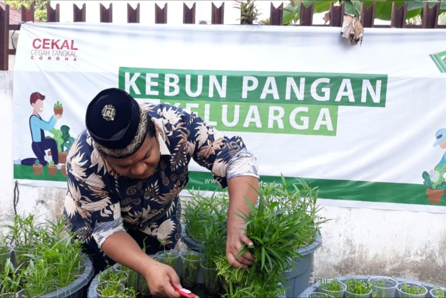 DD Waspada DD Waspada, Ketahanan, Pangan, Pandemi