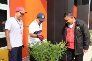 DD Waspada DD Waspada, Kebun Pangan, Sumut