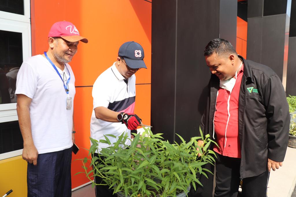DD Waspada DD Waspada, Kebun Pangan, Sumut