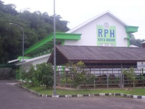 Rumah Potong Hewan (RPH) Kota Bogor Keluhan, RPH Kota Bogor, Maggot