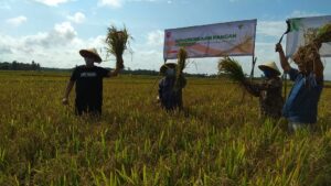 Sinergi Dompet Dhuafa Dompet Dhuafa, Ketahanan Pangan