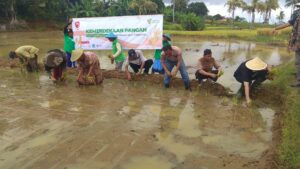 Ketahanan Pangan Berbasis Masyarakat Pesantren Panen, Ketahanan Pangan, Pesantren, Dompet Dhuafa