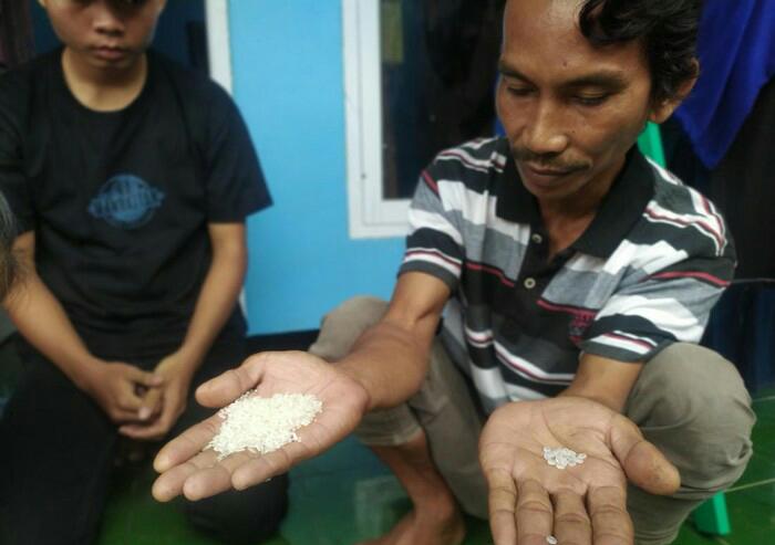 Beras Plastik dalam Program BPNT di Cianjur Tidak Manusiawi Beras Plastik, Program, BPNT, Cianjur