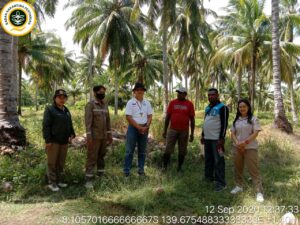 Karantina Pertanian Merauke Sasar Kampung Kelapa Makaling Jadi Desa Gratieks Karantina, Pertanian, Merauke, Makaling, Gratieks