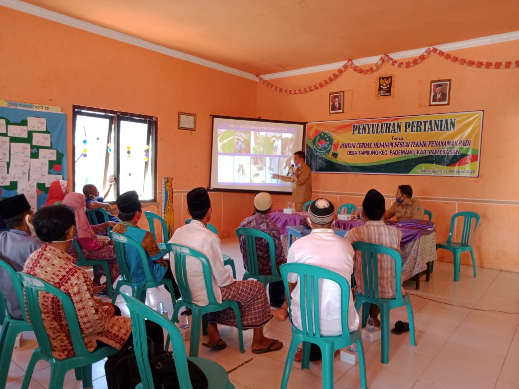 Penyuluhan, Pertanian, Pemdes Tambung, Petani