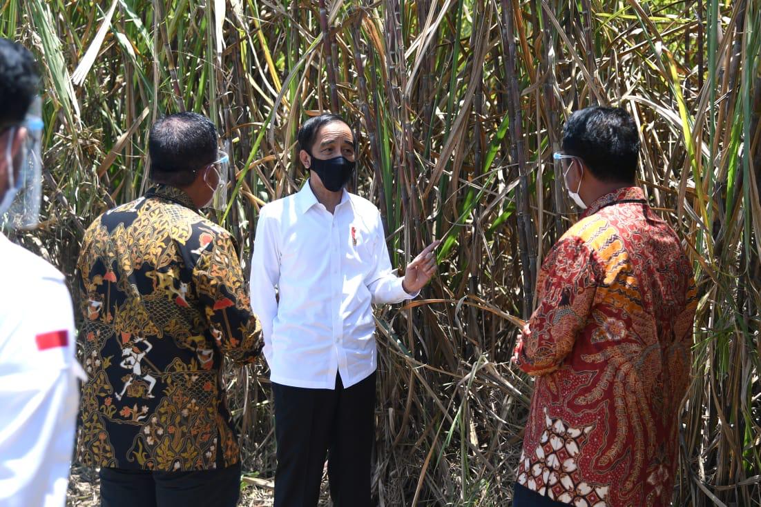 Presiden, Jokowi, Pabrik, Gula, Bombana