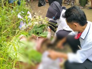 Polisi Selidiki Temuan Kerangka Manusia di Cibinong Polisi, Temuan, Kerangka, Cibinong