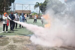 Waspada Bencana, PKK Bogor Ajak Lestarikan Lingkungan Waspada, Bencana, PKK, Bogor, Lestari, Lingkungan