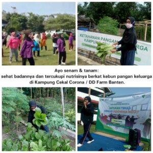 Antisipasi Generasi Stunting pada Tahun Indonesia Emas, 2045 Antisipasi, Generasi, Stunting, Indonesia Emas, 2045