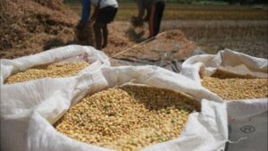Harga Kedelai Tinggi, Kemendag Jamin Stok Aman Harga, Kedelai, Kemendag, Stok, Aman