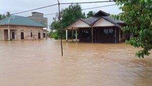 BNPB: Sebanyak 21.990 Jiwa Terdampak Banjir di Kalsel BNPB, Banjir, Kalsel