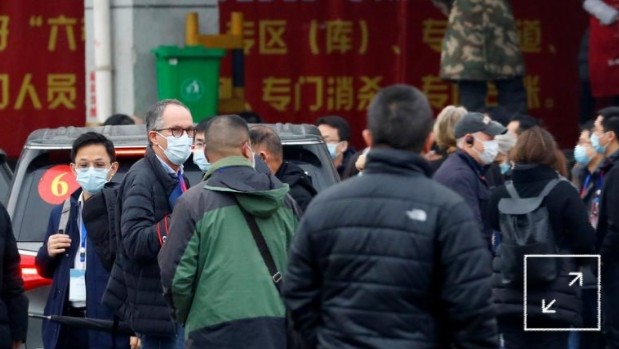 WHO Selidiki Asal Usul Virus Corona di Wuhan WHO, Corona, Wuhan