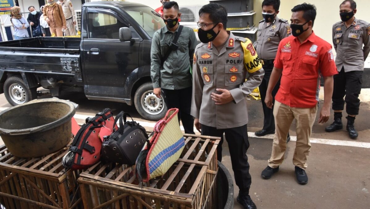Polres Bogor, Sabung Ayam, AKBP Harun