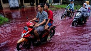 Semarang Dihantam Banjir, Lima Kecamatan Terdampak Semarang, Banjir, Banjir Semarang, Terdampak