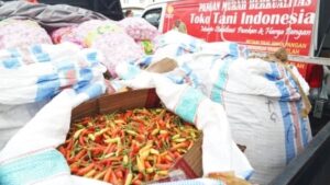Harga Cabai Naik: Kementan Gelar Pasar Murah di Jabodetabek Harga Cabai, Kementan, Gelar Pasar Murah, Jabodetabek