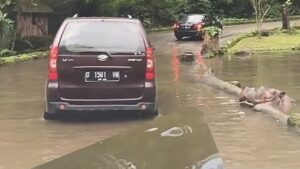 Polres Bogor Amankan Pelempar Sampah ke Mulut Kuda Nil Polres Bogor, Pelempar Sampah, Sampah Plastik, Kuda Nil, Taman Safari