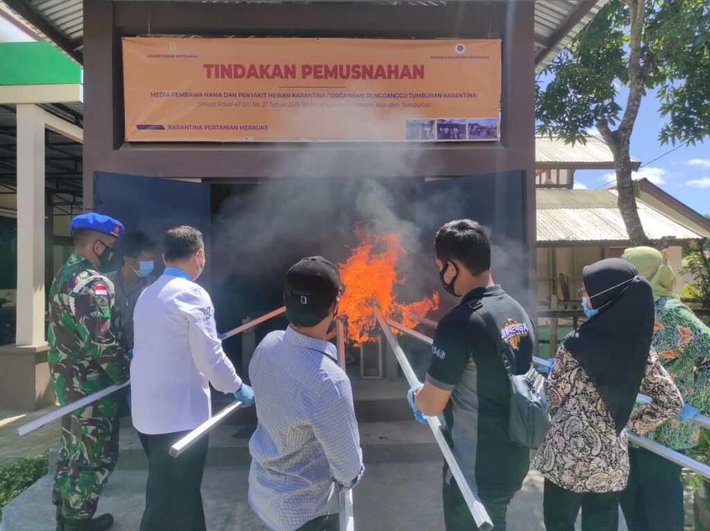 Karantina Pertanian, Karantina Merauke, Musnahan, Ayam, Penyakit Karantina Pertanian, Karantina Merauke, Musnahan, Ayam, Penyakit