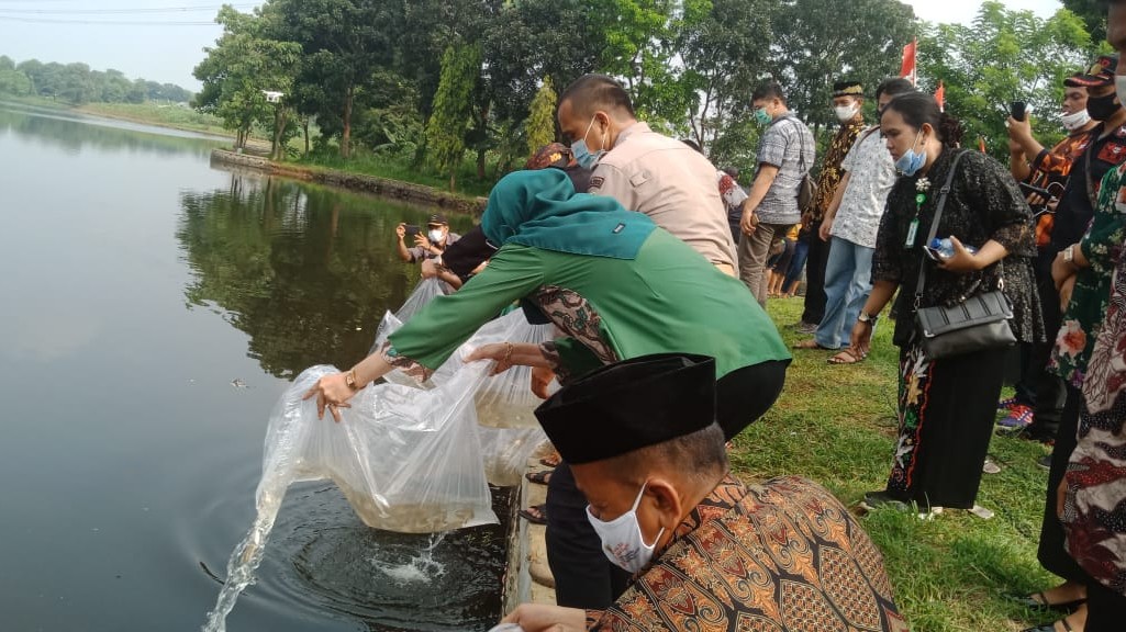 HJB 539: Camat Tajurhalang Tebar 1500 Bibit Ikan di Setu Tonjong HJB 539, Camat Tajurhalang, Tajurhalang, Bibit Ikan, Setu Tonjong
