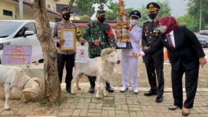 Pemenang Lomba PPKM Mikro di Bogor Dapat Hadiah Kambing dan Sapi Pemenang Lomba, Lomba PPKM, PPKM Mikro, Kapolres Bogor, Hadiah Kambing, Hadiah Sapi