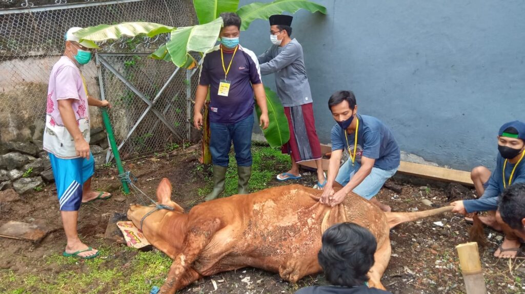 Tingkatkan Kebersamaan, Golkar Kota Bogor Gelar Kurban dengan Prokes Kebersamaan, Golkar Kota Bogor, Idul Adha, Kurban, Prokes
