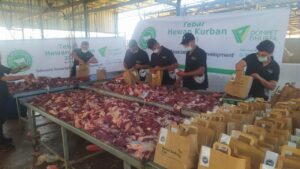 Dompet Dhuafa Salurkan 50 Ekor Sapi Kurban Bagi Warga Palestina Dompet Dhuafa, Idul Adha, Hewan Kurban, Sapi Kurban, Warga Palestina