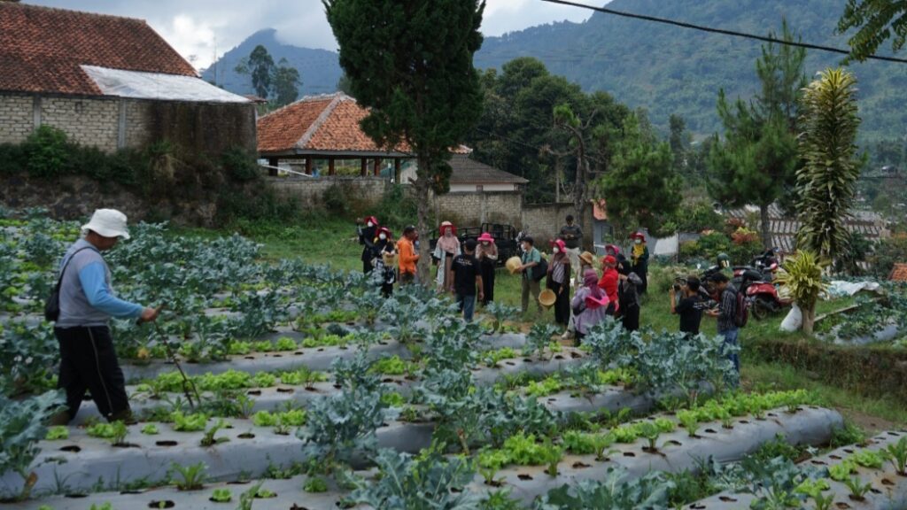 Care Visit, Libatkan Muzakki Tengok Keunggulan Zakat Bagi Petani Lembang Care Visit, Muzakki, Zakat, Petani, Lembang