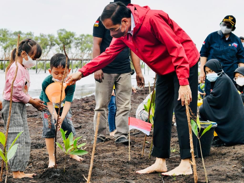 Presiden: Rehabilitasi Mangrove Akan Terus Dilakukan di Tanah Air Presiden Jokowi, Rehabilitasi, Mangrove, Tanah Air