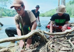 Peringati Sumpah Pemuda, Himapikani Tanam Mangrove Bersama Stakeholder Sumpah Pemuda, Himapikani, Mangrove, Stakeholder