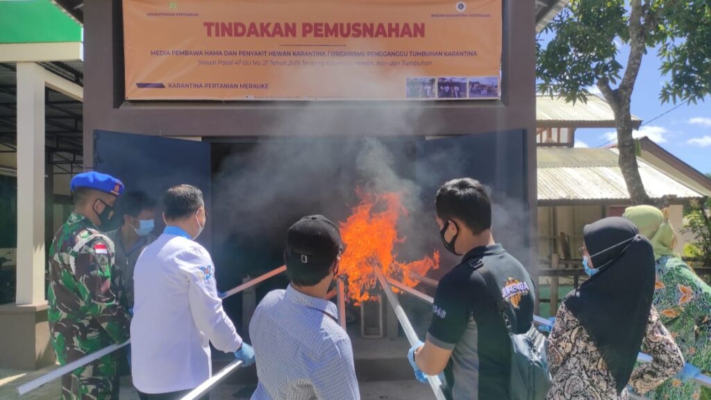 Karantina Merauke, Pemusnahan, Pembawa Hama dan Penyakit, Hama, Penyakit