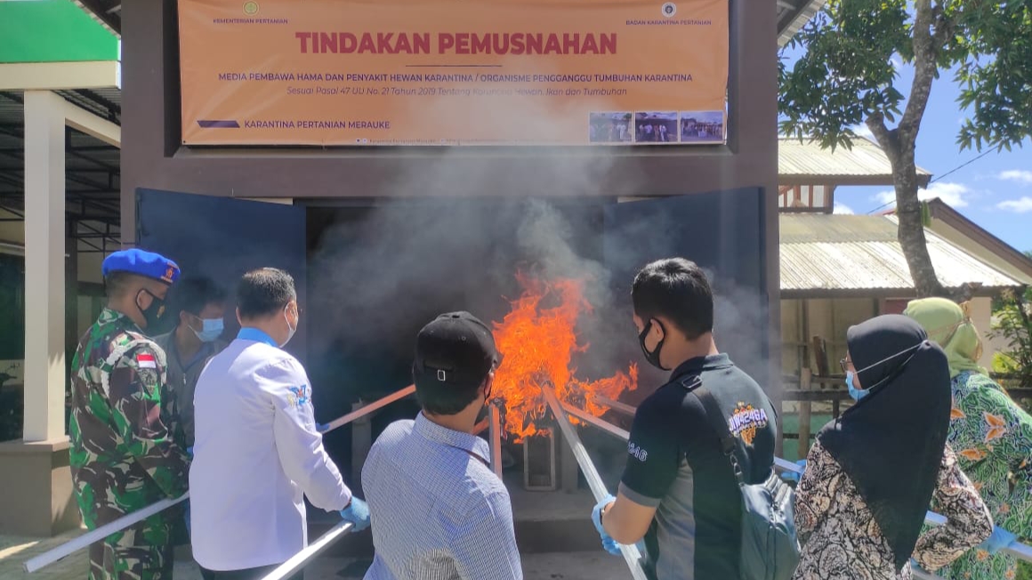 Karantina Merauke, Pemusnahan, Pembawa Hama dan Penyakit, Hama, Penyakit