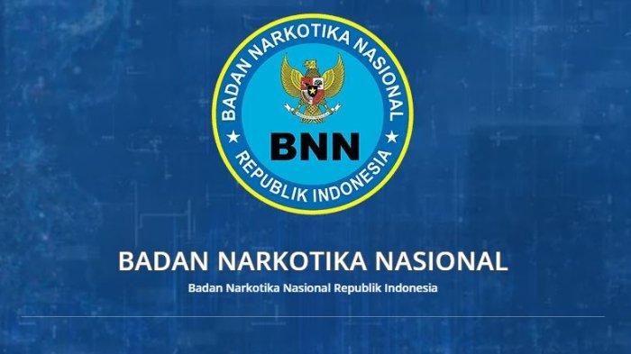 Peredaran Narkoba, Narkoba, Pemuda, PB HMI, Mitra BNN, BNN