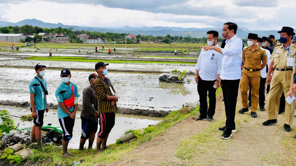 Produktivitas Petani, Petani Indonesia, Impor Beras