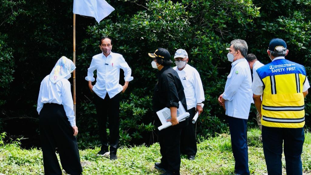 Jokowi Tinjau Mangrove di Denpasar, Akan Dikunjungi Delegasi G20 Mangrove, Denpasar, Delegasi G20, G20