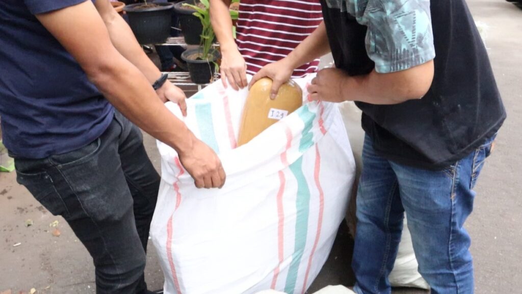 Polres Jakbar Amankan Ratusan Kilogram Ganja asal Sumatera Polres Jakbar, Ganja, Sumatera - Jawa