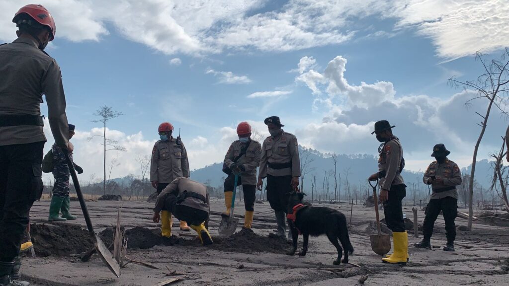 Update Erupsi Semeru, Gunung Semeru, Korban Erupsi Semeru, Korban Meninggal Dunia