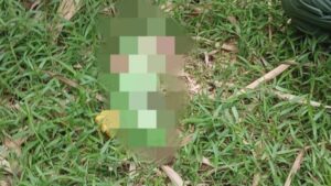 Polisi Selidiki Temuan Bayi Perempuan di Jasinga Polsek Jasinga, Bayi Perempuan, Bayi, Jasinga