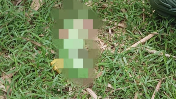 Polisi Selidiki Temuan Bayi Perempuan di Jasinga Polsek Jasinga, Bayi Perempuan, Bayi, Jasinga