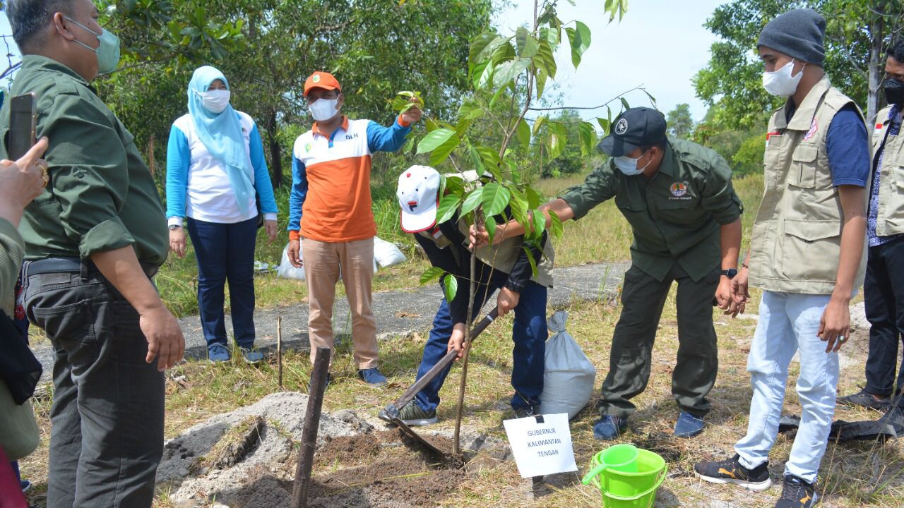 KMHDI, Gerakan KMHDI Menanam, Sejuta Pohon, Menanam Pohon