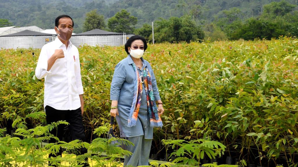 Tinjau Persemaian Rumpin, Jokowi: Upaya Rehabilitasi Lahan Kritis Persemaian Rumpin, Nursery, Rumpin, Jokowi, Rehabilitasi Lahan, Lahan Kritis