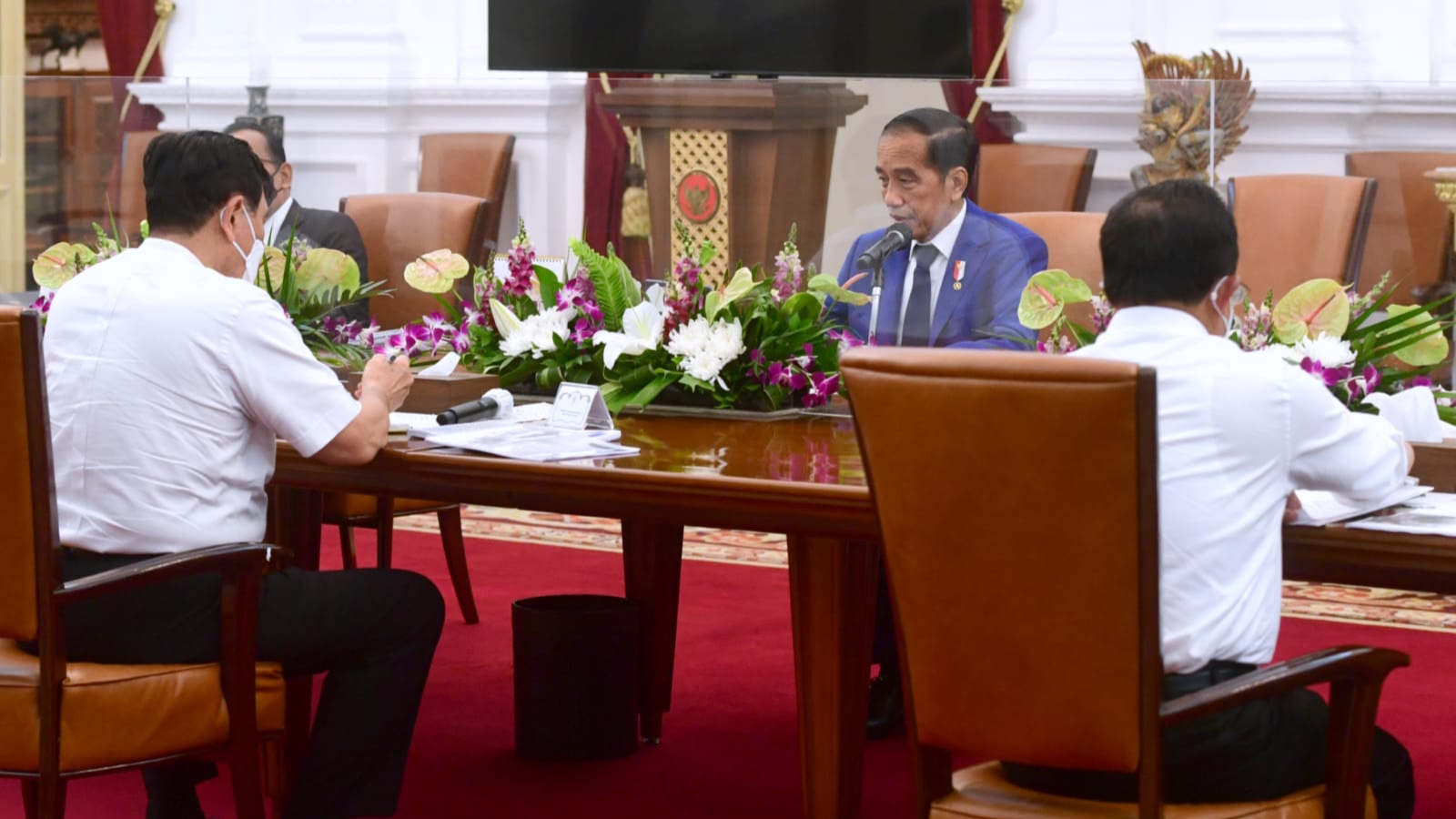 Jokowi, Kepemilikan Tanah, IKN