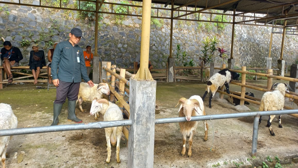 Dongkrak Ekonomi, RPH Kota Bogor, Sentra Penjualan Hewan, Jual Beli Hewan