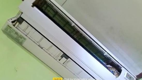 Ular Sanca, Ular Dalam AC, Rumah Warga, Warga Parung