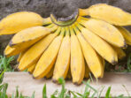 Makna Berbagi Di Balik Pisang Kepok Makna Berbagi, Berbagi, Apendi Arsyad, Pisang Kepok
