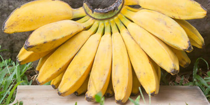 Makna Berbagi, Berbagi, Apendi Arsyad, Pisang Kepok