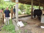 Perumda PPJ Pastikan Penjualan Daging di Pasar Memiliki SKKD Perumda PPJ, Hewan Ternak, Penjualan Daging, Pasar Kota Bogor, SKKD